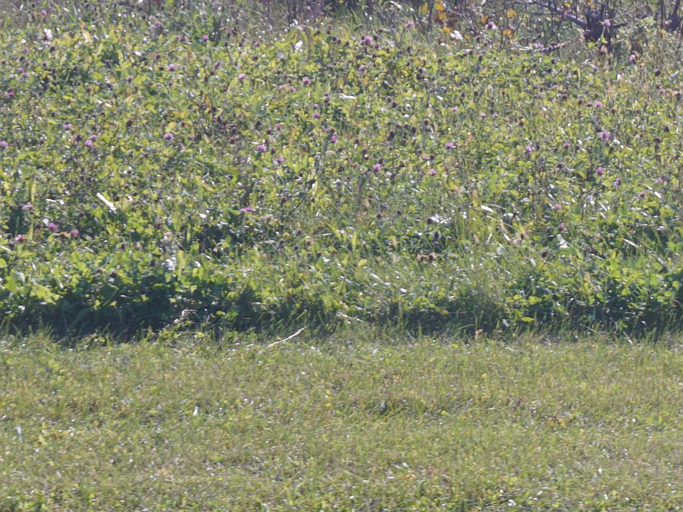 2nd image of LOT 3 S Route 52 Rd
