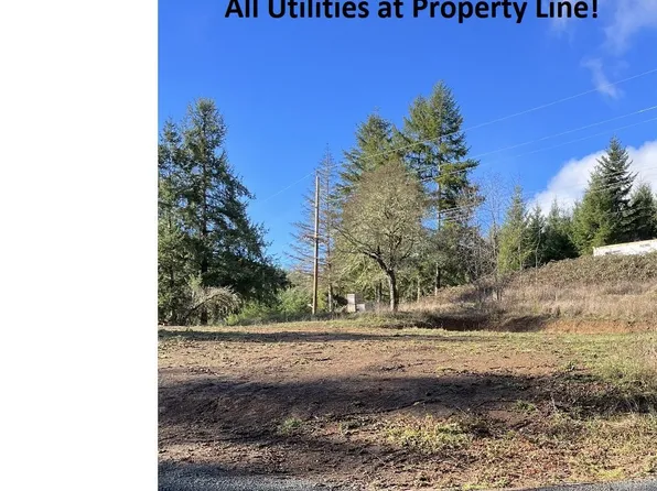 184 Umpqua Hwy #99, Drain, OR 97435
