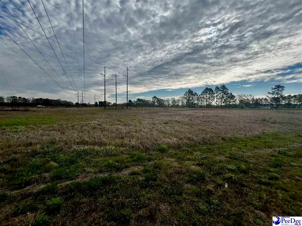 Ebenezer Rd, Darlington, SC 29532