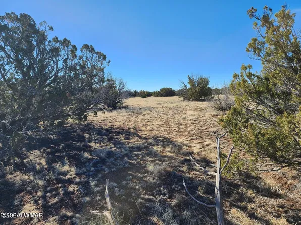 Concho Hwy #1, Concho, AZ 85924