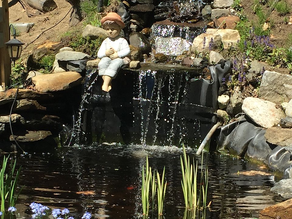 The Pond