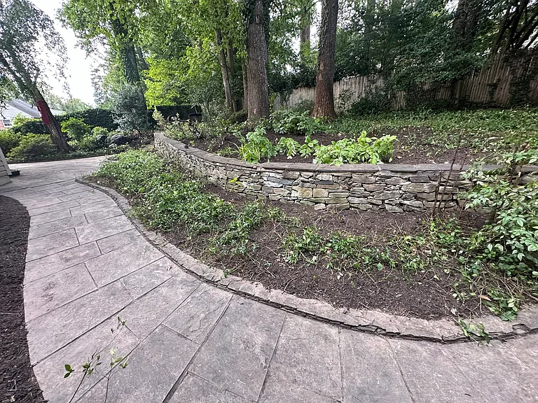 Backyard - Right