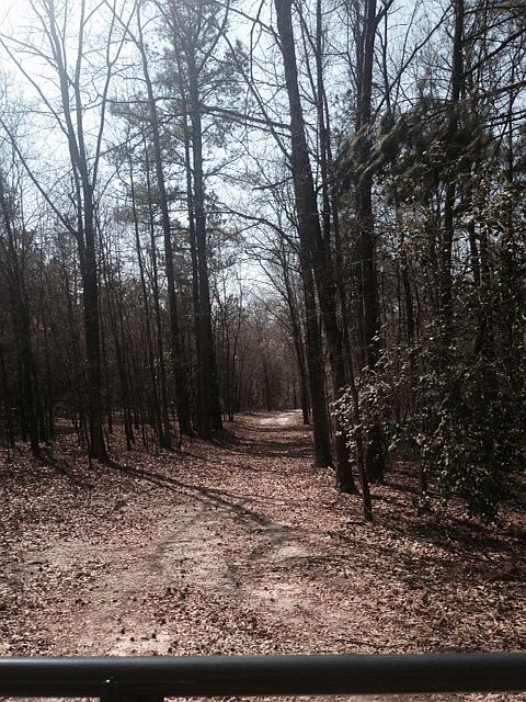 2nd image of 4689 Rodgers Road