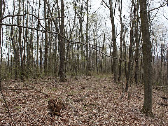 5th image of 113 Kent Ln Lot Wp001