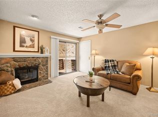 1890 Argentine Street Bldg A #303, Georgetown, CO 80444