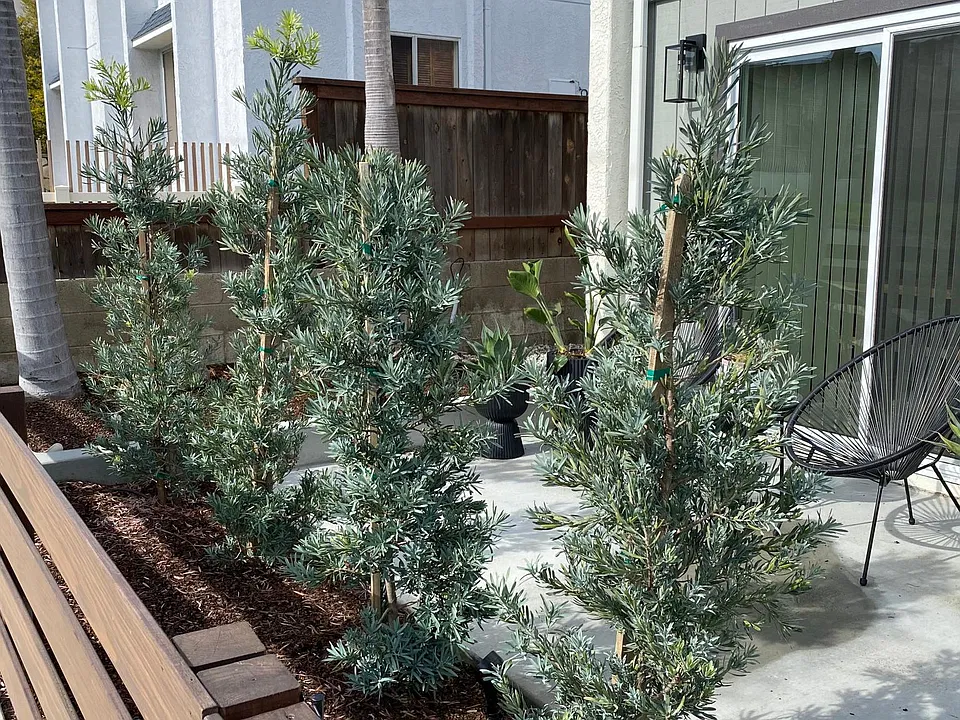 front patio