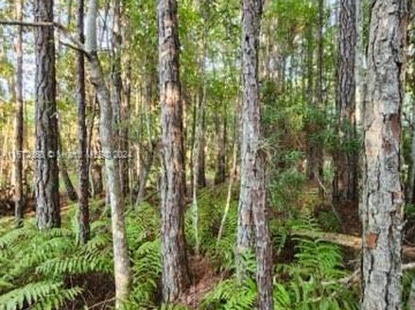 141 E Boundary Dr, Georgetown, FL 32139