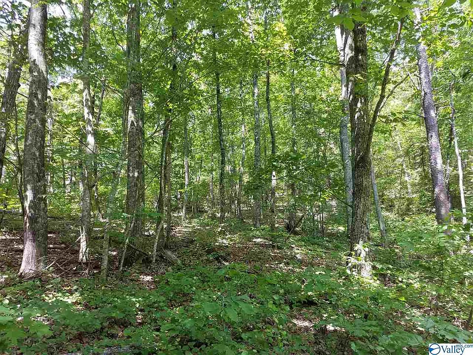 1st image of Hillside Dr