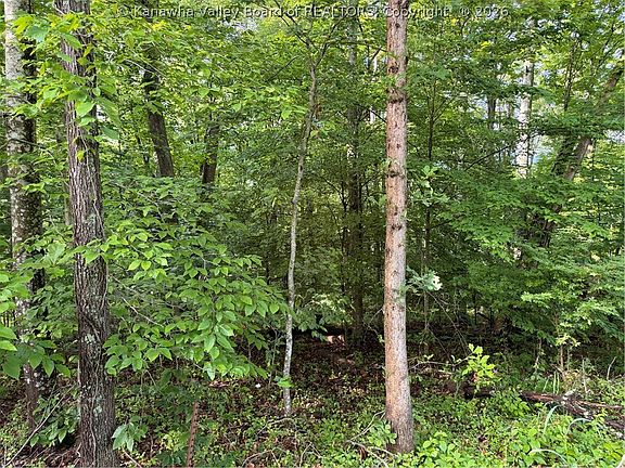 5th image of 0 County Road 28