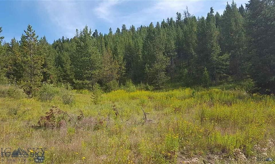 1st image of TRACT 11 Mountain Moose Rd