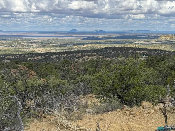 107 Silver Spur Ct, Pie Town, NM 87827