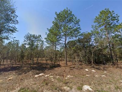 SW 124th Terrace Rd LOT 15, Ocala, FL, 34481