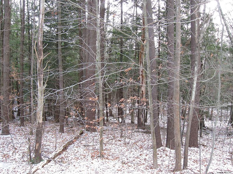 4th image of NY 43