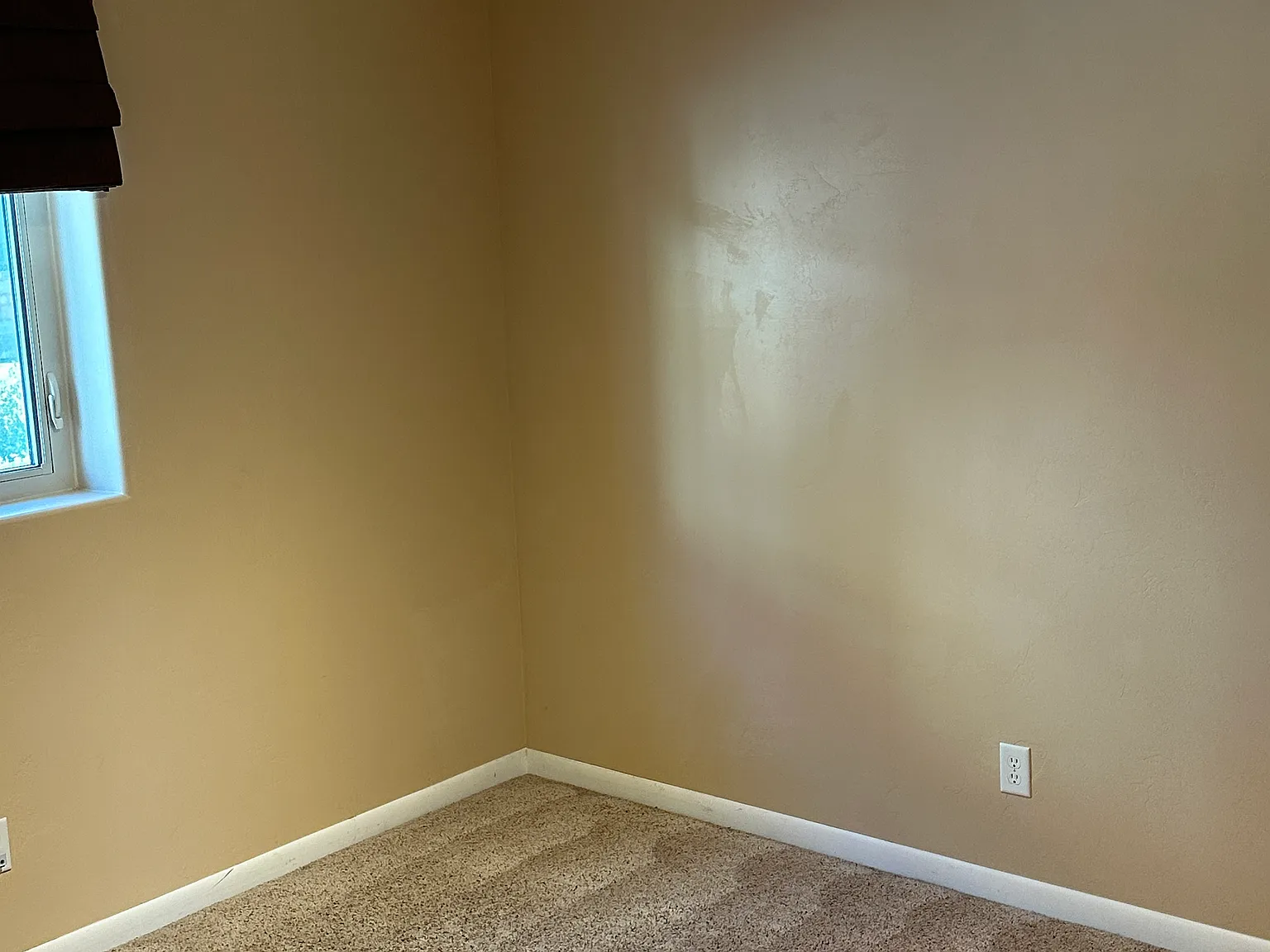 2 bed, 580 sqft, $1,650 — Photo 4