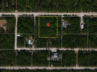 NE 239th St LOT 66B, Fort Mc Coy, FL 32134