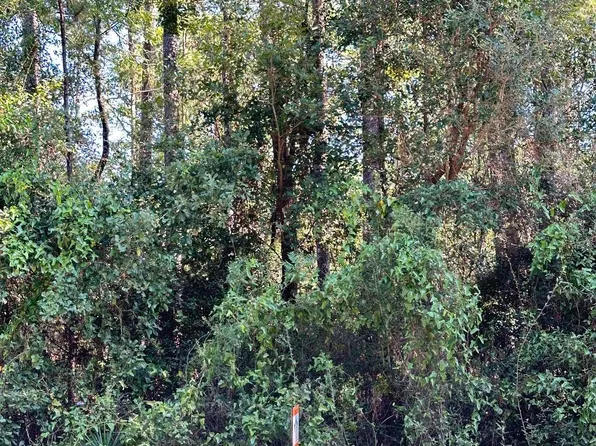 0 Lonnie Rd, Tallahassee, FL 32308