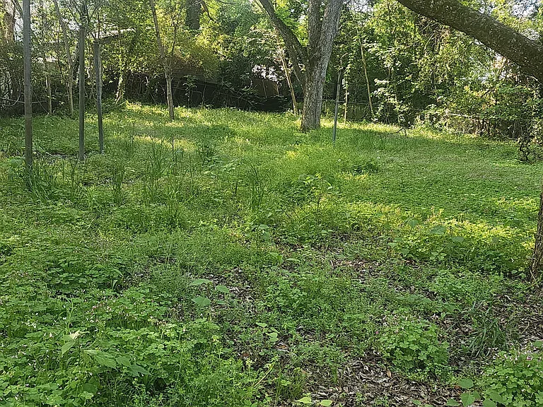 644 Parkchester Dr — Photo 10