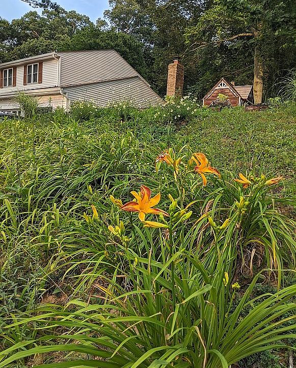 2nd image of 11589 Hicks Ct