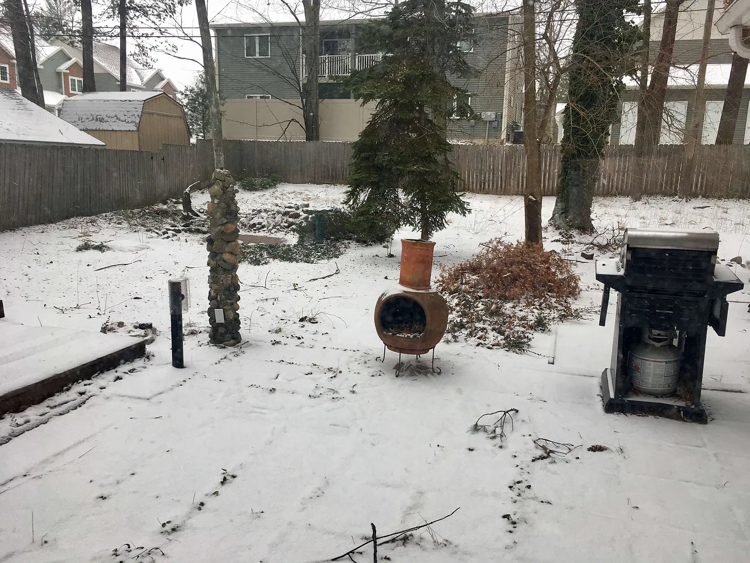 3 bed, 1005 sqft, $2,000 — Photo 3