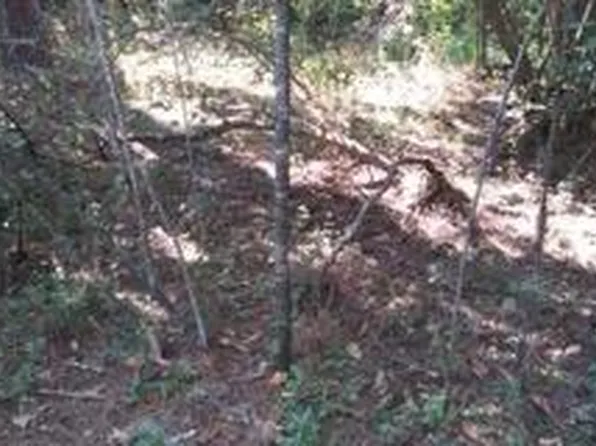 0 N County Road 75 Rd, Ashford, AL 36312