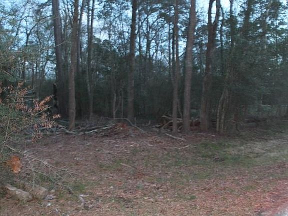 4th image of 13707 Grand Prairie Dr