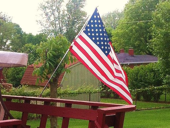 back yard