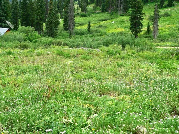  9th & 10th (Irwin) Street, Crested Butte, CO 81224