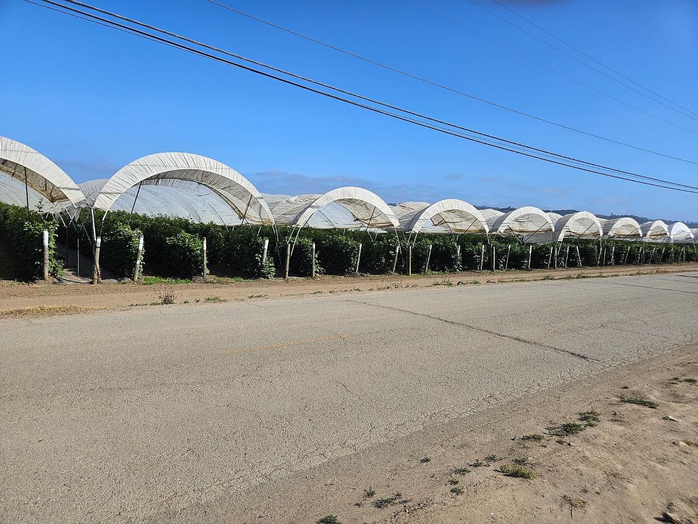 Riverside, Watsonville, CA 95076 | Zillow