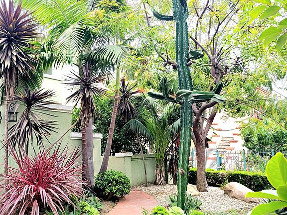 Lush sustainable landscaping