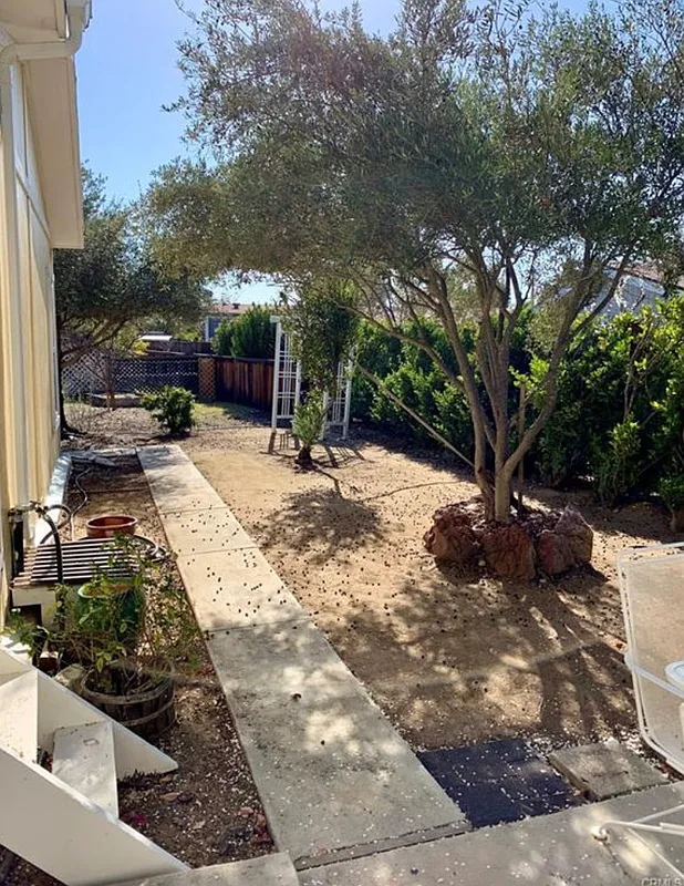 1 bed, 1.0 bath, 1820 sqft, $1,000 — Photo 2
