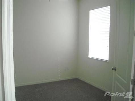 mallard_copper_mandalay 031