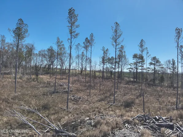 161 Counts Rd #116A, Magee, MS 39111