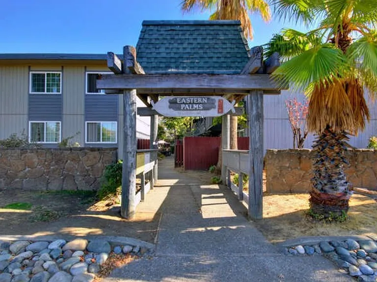 Eastern Palms — Photo 2