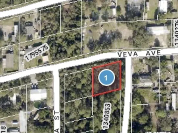Veva Avenue Lot #1, Paisley, FL 32767
