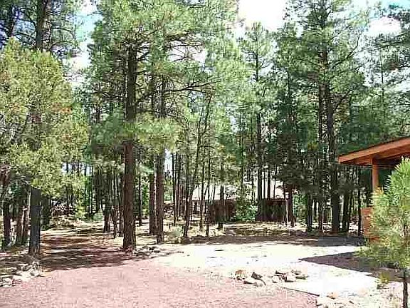 5th image of 1211 Pinedale Road