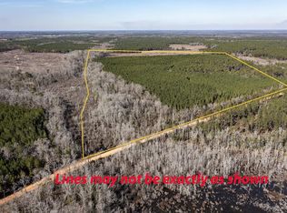 4 Peel Rd, Edison, GA 39846