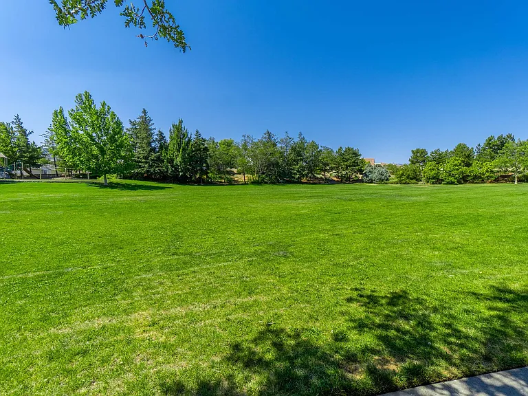 Enchanted Valley Dr — Photo 28