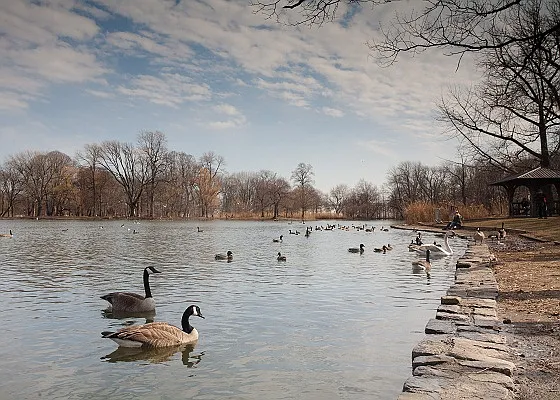 Sold by Block & Lot Real Estate | media 13