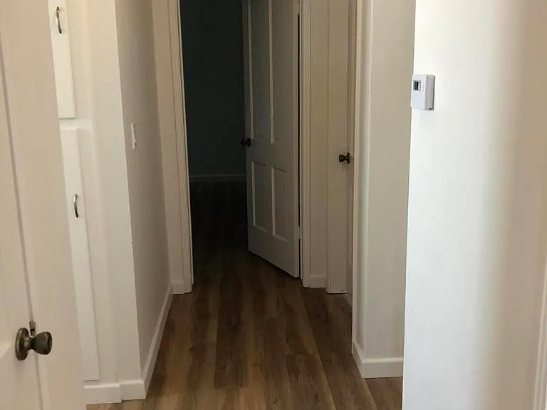 1447 Palm Dr — Photo 22