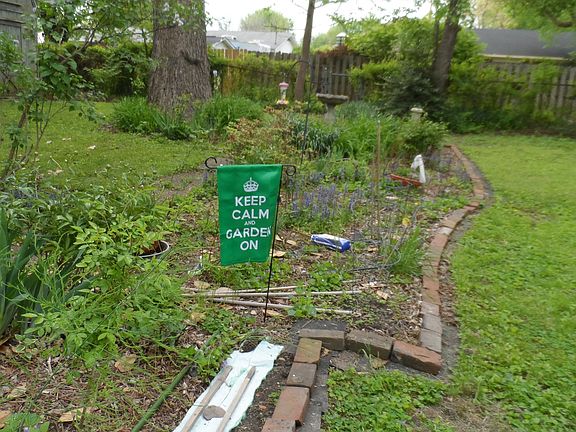 portion of back yard