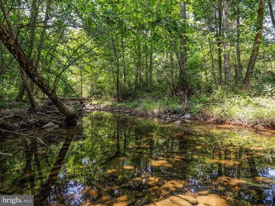 1704 Posey Hollow Rd, Berkeley Springs, WV, 25411