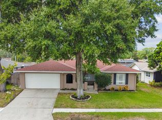 3528 Snowy Egret Ct, Palm Harbor, FL 34683