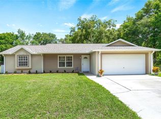 317 W Palmetto Ave, Deland, FL 32720