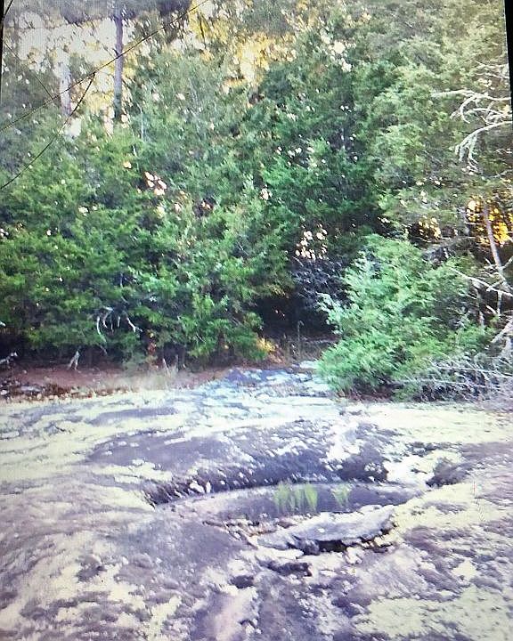 2nd image of 156 Bradfield Rd
