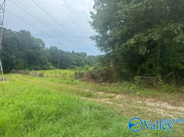 196 County Road 230, Hollywood, AL 35752