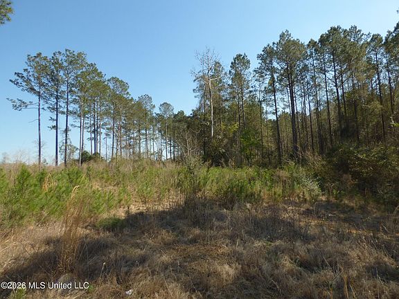 3rd image of 0 C D Rayborn Rd