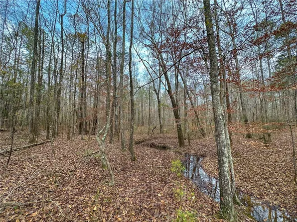 3340 Ridge Rd, Opelika, AL 36804