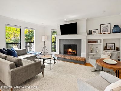 980 E Hyman Ave APT 3, Aspen, CO, 81611