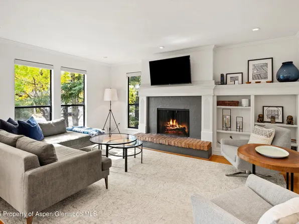 980 E Hyman Ave APT 3, Aspen, CO 81611