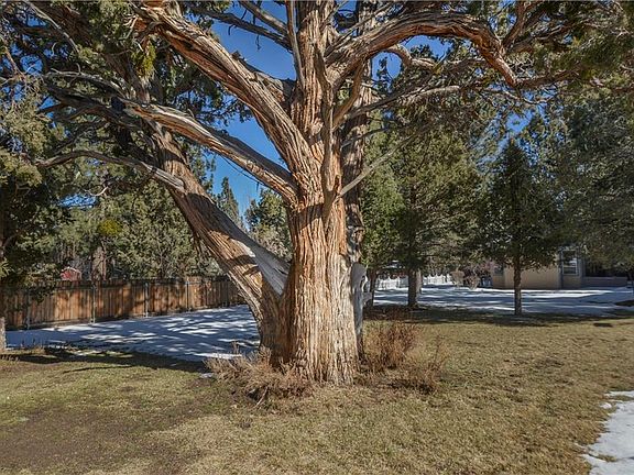 4th image of 1101 Pinon Ln
